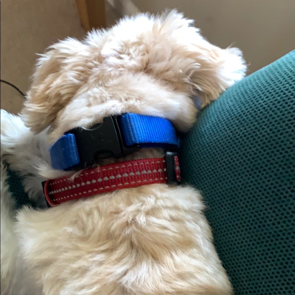 Meet your Posher, Sara